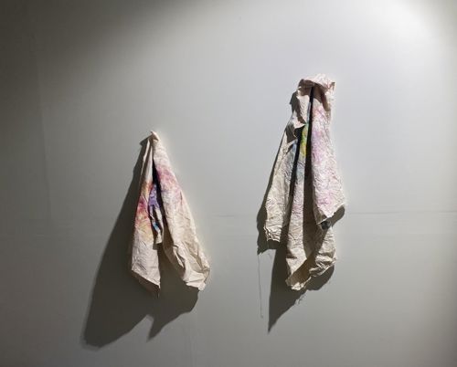 Annelisa Lummis