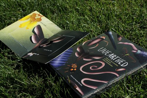 Hanna van Heugten Breurkes