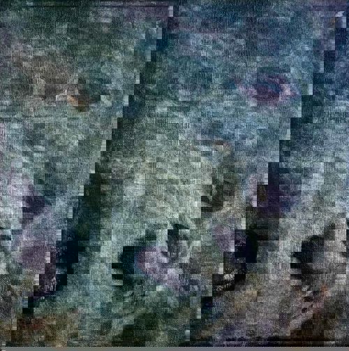 Eleanor Díaz Ritson